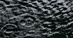 Big detailed video (may take a while to download)